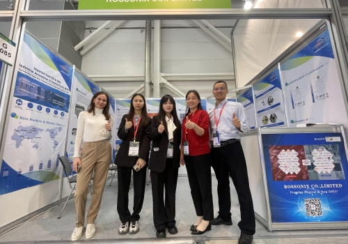 ROSSONIX -EXPO ELECTRONICA 2024 in Moskau,Russland